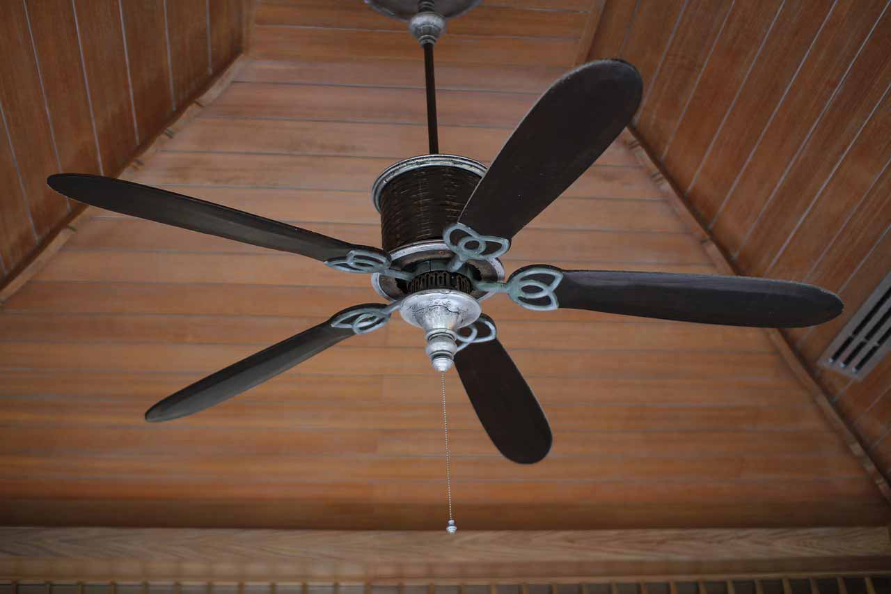 Ceiling fan