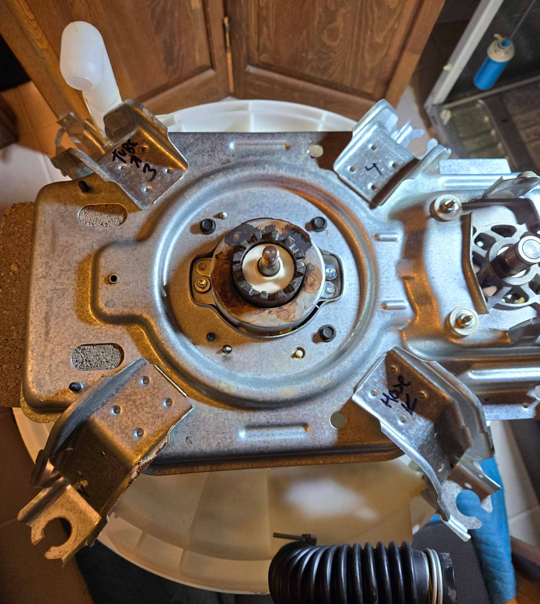 Washing machine motor